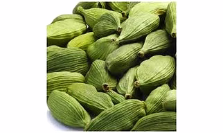 CARDAMOM (SIZE  7-8mm)