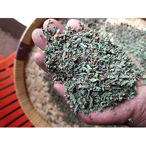 Tulsi Leaves (Ociumum Sanctum)