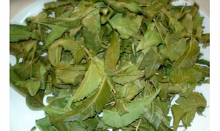 Neem Leaves (Azadirachita indica)