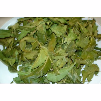 neem leaves (azadirachita indica)