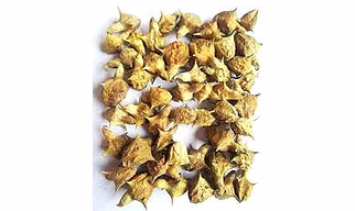 Tribulus Terrestris (Nerinji Mull)