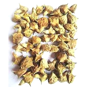 Tribulus Terrestris (Nerinji Mull)