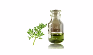 Artemisia Annua Oil