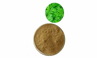 Artemisia Annua Powder