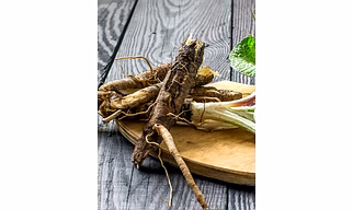 Fresh Burdock Roots