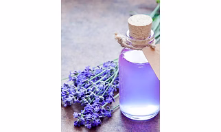 Lavender Hydrosol