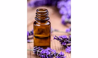 Lavender Oil