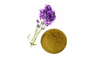Lavender Powder