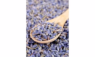 Lavender Seeds