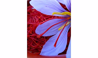 Natural Saffron