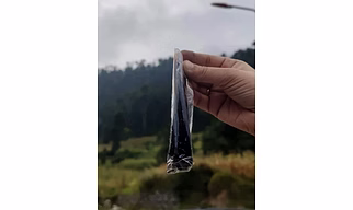 Shilajit Paste