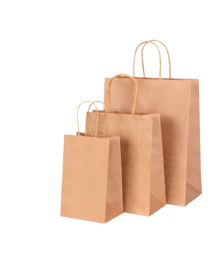 kraft paper bag-1