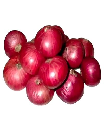 Red Indian Onion-1