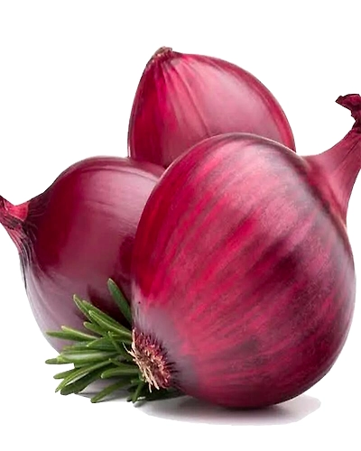 Red Indian Onion-3