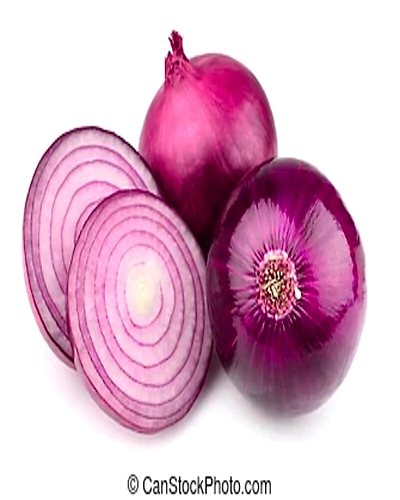 Red Indian Onion-4