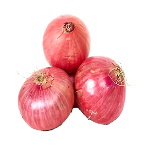 Red Indian Onion