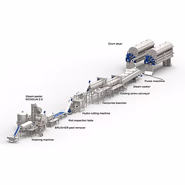 procon ventures potato flakes line