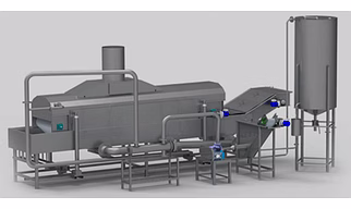 Frozen Fruits Vegetables Process