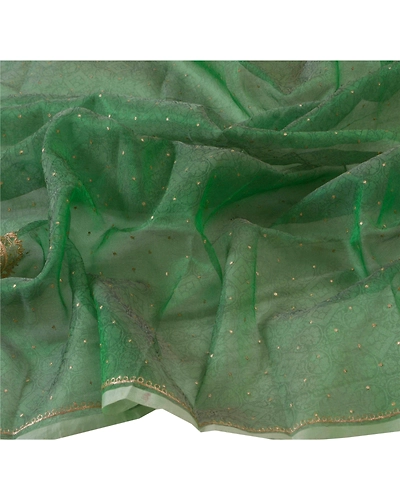 Sanskriti Vintage Dupatta Long Stole Organza Green Hand Beaded Woven Wrap Shawl DC-21168-Green-Hand Beaded With Mirror &amp; Zardozi Work-Organza-4