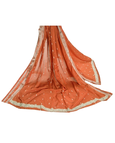 Sanskriti Vintage Dupatta Long Stole Art Silk Orange Hand Beaded Woven Veil DC-43334-Orange-Zari/Woven Work-Art (Artificial) Silk-1