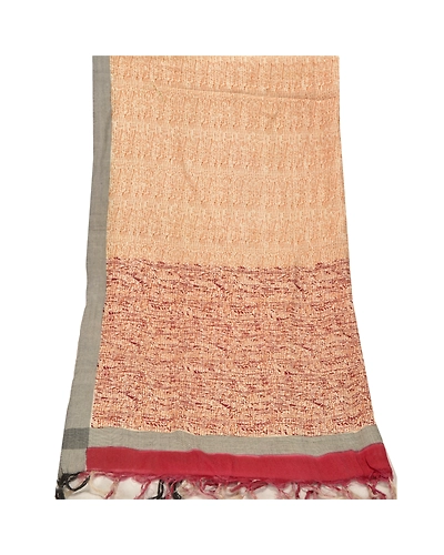 Sanskriti Vintage Dupatta Long Stole Pure Woolen Hijab Printed Wrap Shawl DC-45531-Cream-Printed Work-Woolen-8
