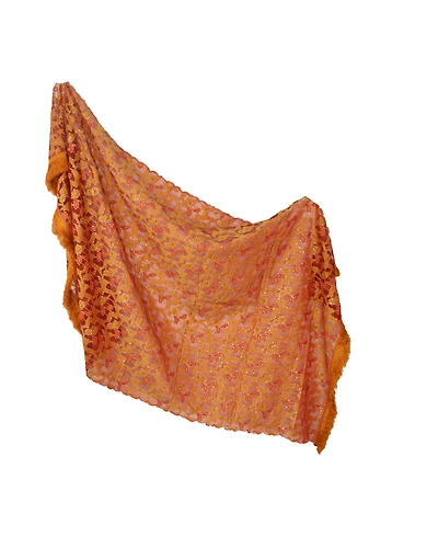 Sanskriti Vintage Dupatta Long Stole Organza Brown Hand Beaded Woven Scarves DC-45955-Brown-Beaded Work-Organza-1