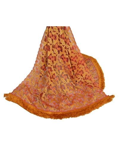 Sanskriti Vintage Dupatta Long Stole Organza Brown Hand Beaded Woven Scarves DC-45955-Brown-Beaded Work-Organza-3