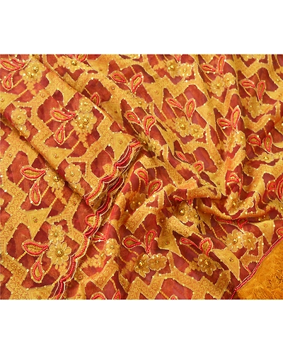 Sanskriti Vintage Dupatta Long Stole Organza Brown Hand Beaded Woven Scarves DC-45955-Brown-Beaded Work-Organza-4