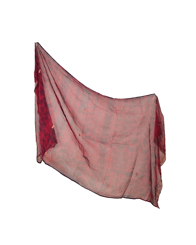 Sanskriti Vintage Dupatta Long Stole Chiffon Red Hand Embroidered Tie-Dye Veil DC-45990-Red &amp; Blue-Zari Work-Chiffon-1