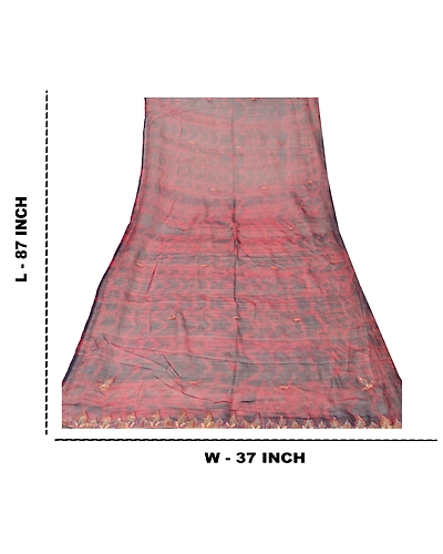 Sanskriti Vintage Dupatta Long Stole Chiffon Red Hand Embroidered Tie-Dye Veil DC-45990-Red &amp; Blue-Zari Work-Chiffon-2
