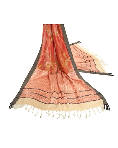 Sanskriti Vintage Dupatta Long Stole Pure Woolen Wrap Shawl Printed Work DC-46233-Multi Color-Printed Work-Pure Woolen-2