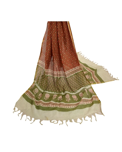 Sanskriti Vintage Dupatta Long Stole Chanderi Rusty Orange Printed Scarves DC-46774-Rusty Orange &amp; Green-Printed Work-Chanderi-2