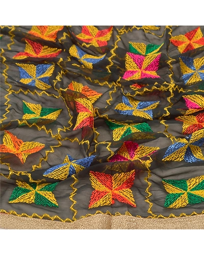 Sanskriti Vintage Dupatta Long Stole Chiffon Black Embroidered Bagh Phulkari DC-47596-Black-Thread Work-Chiffon-6