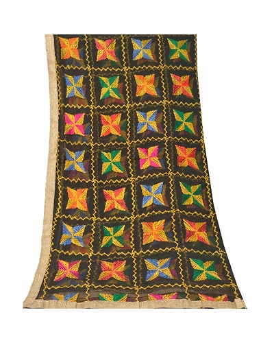 Sanskriti Vintage Dupatta Long Stole Chiffon Black Embroidered Bagh Phulkari DC-47596-Black-Thread Work-Chiffon-8