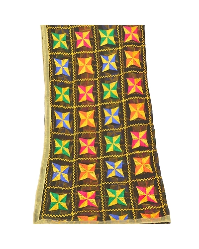 Sanskriti Vintage Dupatta Long Stole Chiffon Black Embroidered Bagh Phulkari DC-47828-Black-Thread Work-Chiffon-8