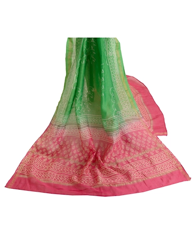 Sanskriti Vintage Dupatta Long Stole Chanderi Hijab Green Block Printed Scarves DC-48076-Green &amp; Pink-Printed Work-Chanderi-2