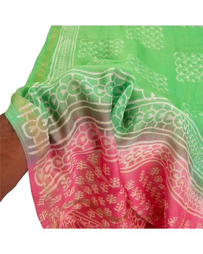 Sanskriti Vintage Dupatta Long Stole Chanderi Hijab Green Block Printed Scarves DC-48076-Green &amp; Pink-Printed Work-Chanderi-5