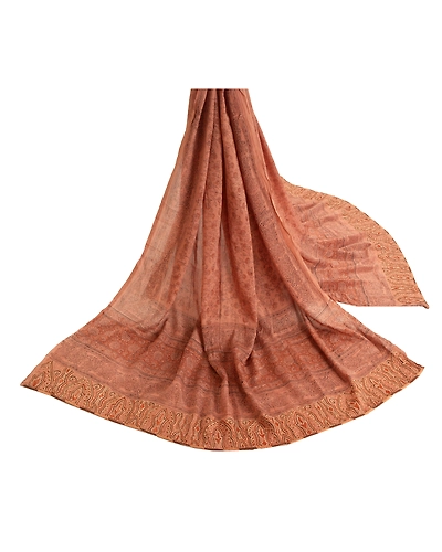 Sanskriti Vintage Dupatta Long Stole Pure Silk Brown Hand Embroidered Scarves DC-48091-Shade Of Brown-Printed Work-Pure Silk-2