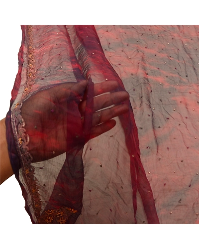 Sanskriti Vintage Dupatta Long Stole Pure Chiffon Silk Handmade Tie- Dye Veil DC-48359-Dark Red &amp; Brown-Zardozi Work-Pure Chiffon Silk-5