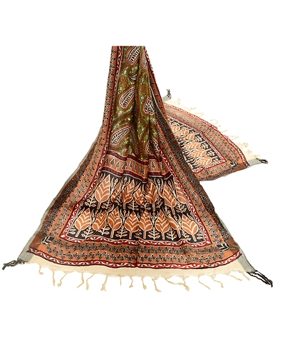 Sanskriti Vintage Dupatta Long Stole Woolen Wrap Hijab Printed Floral Scarves DC-48781-Multi Color-Printed Work-Woolen-2