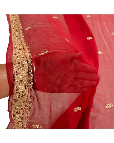 Sanskriti Vintage Dupatta Long Stole Pure Georgette Silk Dark Red Hand Beaded DC-51664-Dark Red-Zardozi Work-Pure Georgette Silk-5