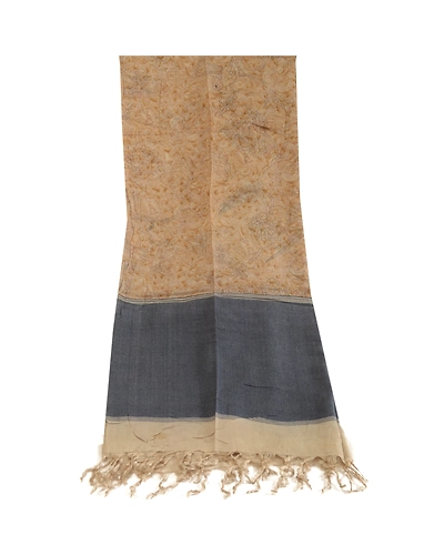 Sanskriti Vintage Dupatta Long Stole Pure Silk Beige Hijab Printed Soft Scarves DC-51723-Beige &amp; Blue-Printed Work-Pure Silk-8