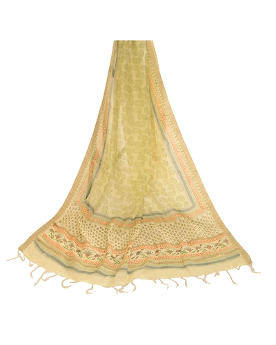 Sanskriti Vintage Dupatta Long Stole Pure Chanderi Silk Ivory Block Printed Veil DC-51752-Ivory-Block Printed Work-Pure Chanderi Silk-2
