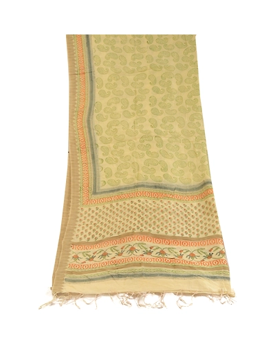Sanskriti Vintage Dupatta Long Stole Pure Chanderi Silk Ivory Block Printed Veil DC-51752-Ivory-Block Printed Work-Pure Chanderi Silk-8