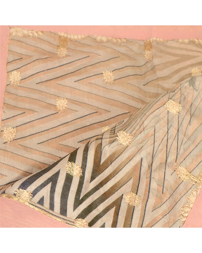Sanskriti Vintage Dupatta Long Stole Georgette Beige Woven Zari Printed Hijab DC-51763-Beige-Printed Work-Georgette-4