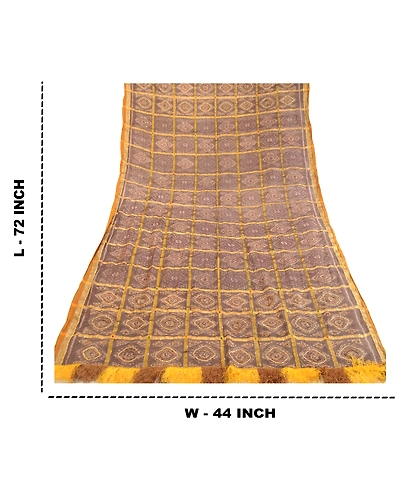 Sanskriti Vintage Dupatta Long Stole Pure Silk Brown Hand Beaded Woven Ikat Veil DC-51781-Brown-Woven Work-Pure Silk-1