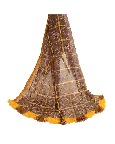 Sanskriti Vintage Dupatta Long Stole Pure Silk Brown Hand Beaded Woven Ikat Veil DC-51781-Brown-Woven Work-Pure Silk-2