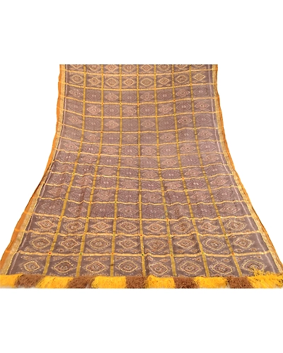 Sanskriti Vintage Dupatta Long Stole Pure Silk Brown Hand Beaded Woven Ikat Veil DC-51781-Brown-Woven Work-Pure Silk-7