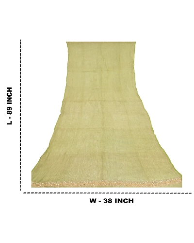 Sanskriti Vintage Dupatta Long Stole Tissue Green Hand Beaded Woven Scarves DC-51963-Green-Zardozi Work-Tissue-1