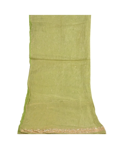 Sanskriti Vintage Dupatta Long Stole Tissue Green Hand Beaded Woven Scarves DC-51963-Green-Zardozi Work-Tissue-8